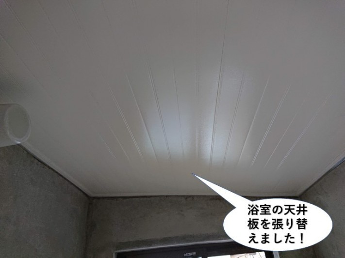 24444dc6898334476570f60b2e930920-columns1