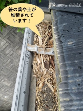 和泉市の樋に笹の葉・土が堆積