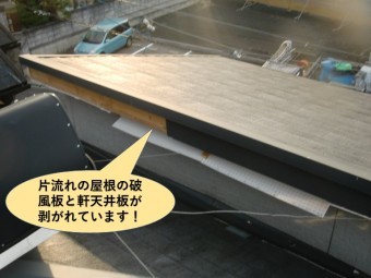 貝塚市の片流れの屋根の破風板と軒天井板が剥がれています
