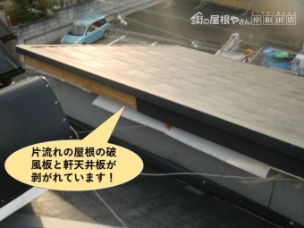 貝塚市の片流れの屋根の破風板と軒天井板が剥がれています