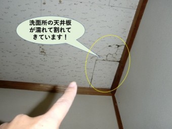 岸和田市の洗面所の天井板が濡れています