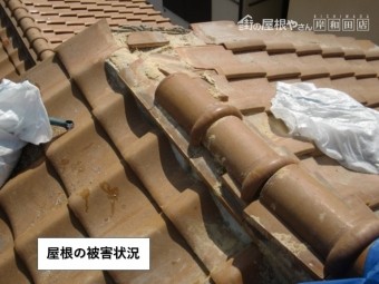 和泉市の屋根の被害状況