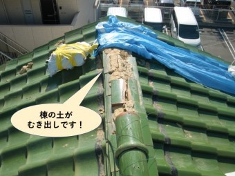 岸和田市の棟の土がむき出しです!