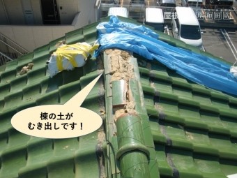 岸和田市の棟の土がむき出しです!