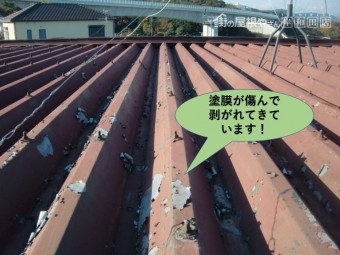 泉南郡岬町の折板屋根の塗膜が剥がれてボロボロになっています