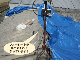 岸和田市の屋根のブルーシートが風でめくれ上がっています