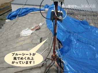 岸和田市の屋根のブルーシートが風でめくれ上がっています
