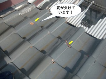 和泉市の瓦が欠けています