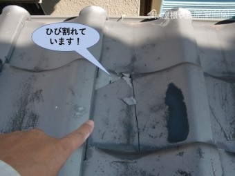 泉大津市の下屋の瓦がひび割れています
