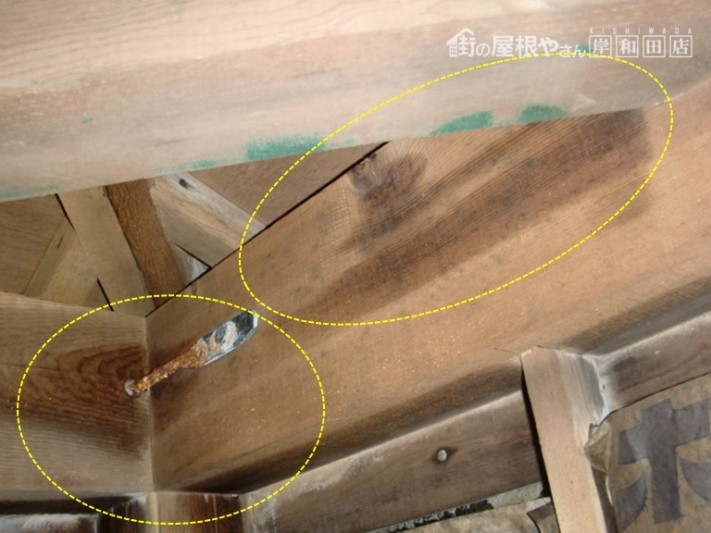 泉大津市の小屋裏に雨が浸入!