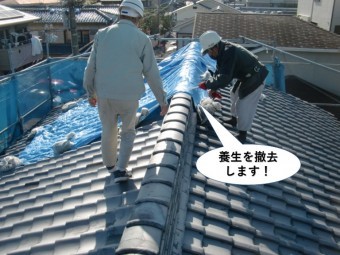 熊取町の町の屋根の養生を撤去します