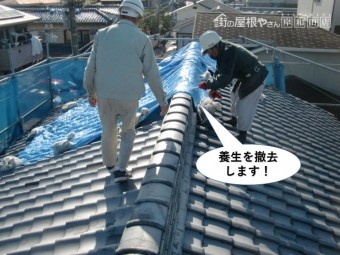 熊取町の町の屋根の養生を撤去します