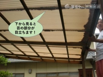 岸和田市のカーポートの下から見ても苔がはっきりと分かります