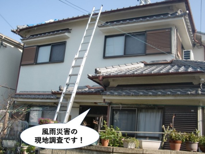 忠岡町の風雨災害の現地調査