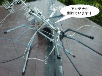 岸和田市のテレビのアンテナが倒れています