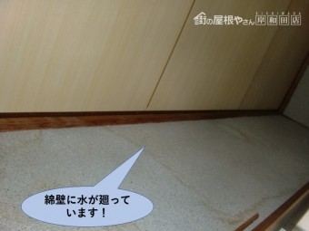 岸和田市の綿壁に水が廻っていました