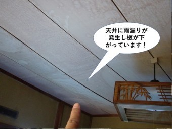 貝塚市の和室の天井に雨漏りが発生し天井板が下がっています