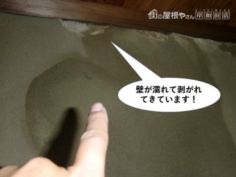 岸和田市の壁が濡れて剥がれてきています
