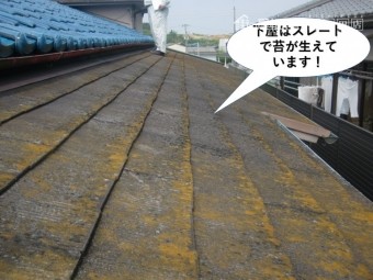 岸和田市の下屋はスレートで苔が生えています