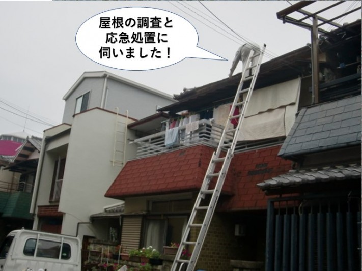 和泉市の屋根の調査と応急処置