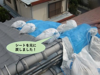 岸和田市の屋根のシートを元に戻しました!