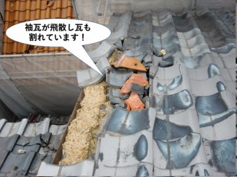 岸和田市の袖瓦が飛散し瓦も割れています