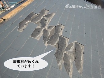 泉大津市の屋根材がめくれています
