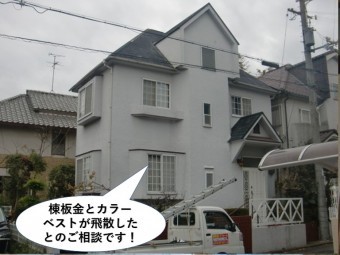 貝塚市の棟板金とカラーベストのご相談