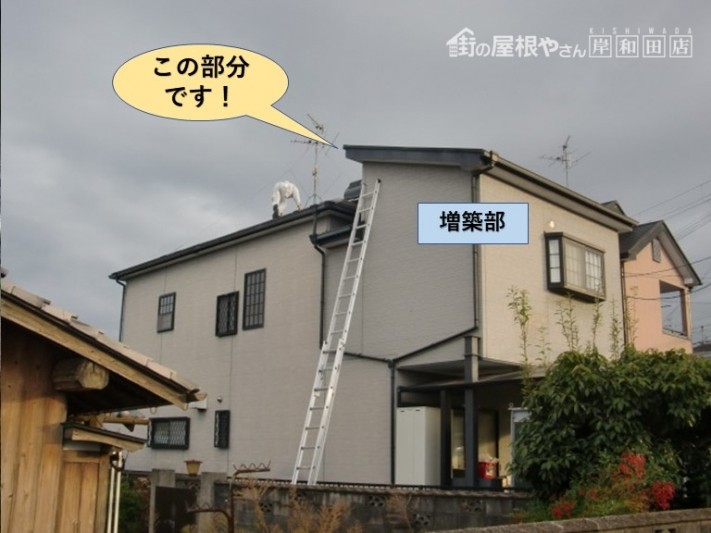 貝塚市の増築部の屋根