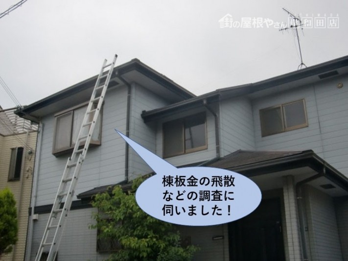 泉南市の棟板金飛散などの調査