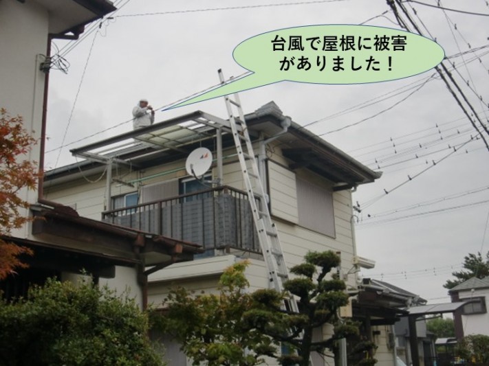 泉大津市の台風の被害の調査