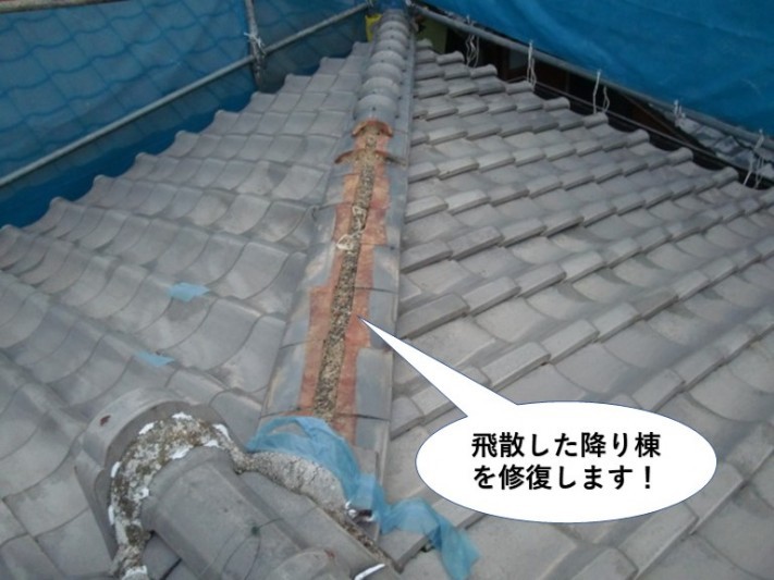 泉南市の飛散した降り棟を修復します