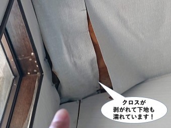 泉大津市のクロスが剥がれて下地も濡れています