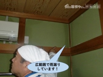 岸和田市の和室の広範囲で雨漏りしています!