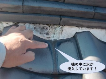 岸和田市の屋根の棟の中に雨が浸入