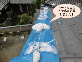 岸和田市の屋根をシートと土のうで応急処置