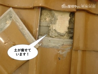 熊取町の土が痩せています