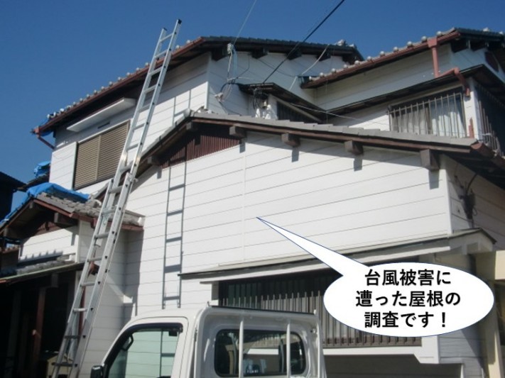 貝塚市の台風被害に遭った屋根の調査です