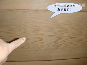 岸和田市の二階の天井に雨染みがあります!