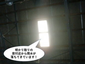 和泉市の倉庫の明かり取りの窓付近から雨水が落ちてきています