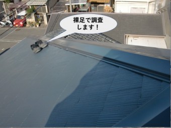泉大津市の屋根を裸足で調査します