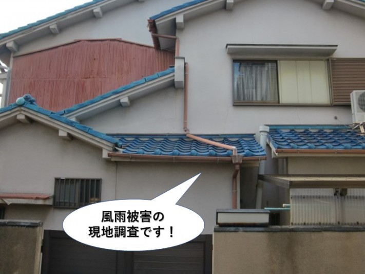 岸和田市の風雨被害の現地調査