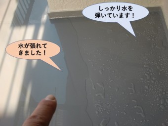 岸和田市のベランダ防水状況