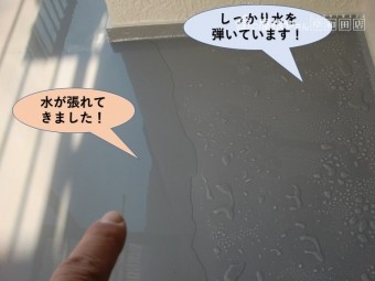 岸和田市のベランダ防水状況