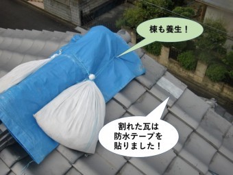 岸和田市の棟も養生