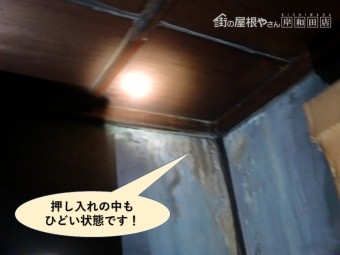 岸和田市の押し入れの中もひどい状態です