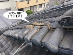 岸和田市の丸瓦が飛散しています