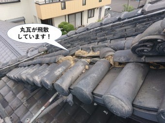 岸和田市の丸瓦が飛散しています
