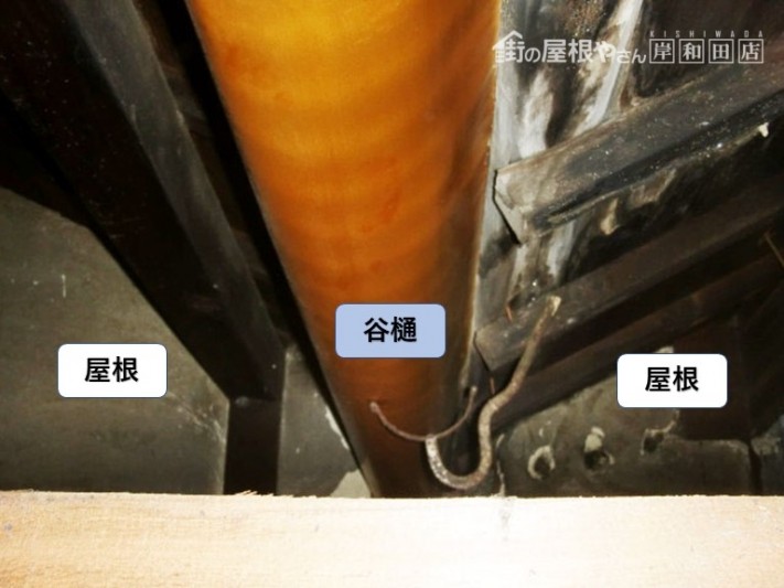 岸和田市の小屋裏状況