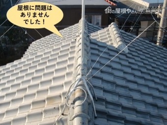 和泉市の屋根に問題はありませんでした!